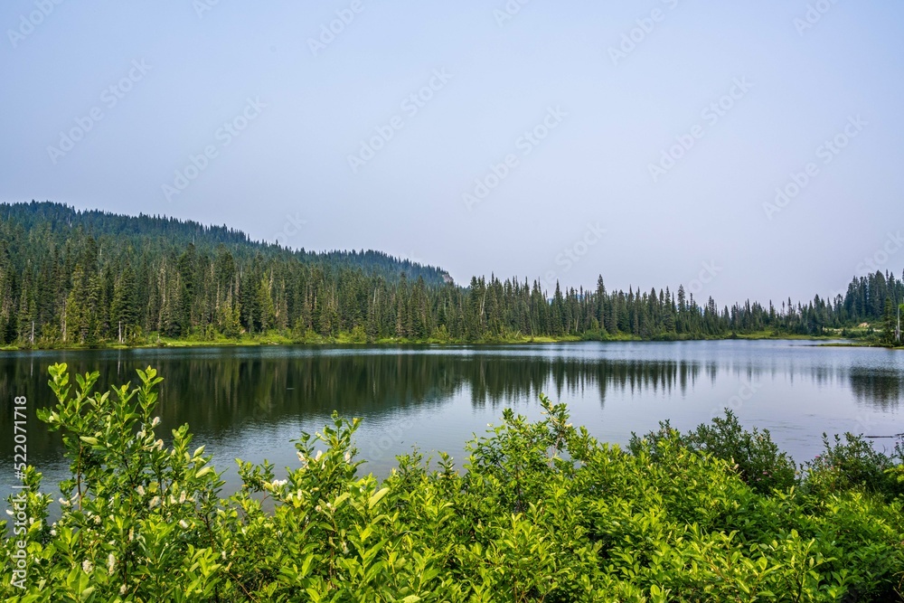 Obraz premium An overlooking landscape view of Mt Rainer NP, Washington