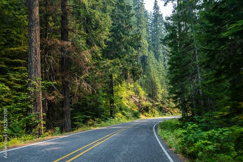 A long way down the road of Mt Rainer NP, Washington