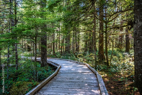 A gorgeous view of the landscape in North Cascades NP, Washingto photo