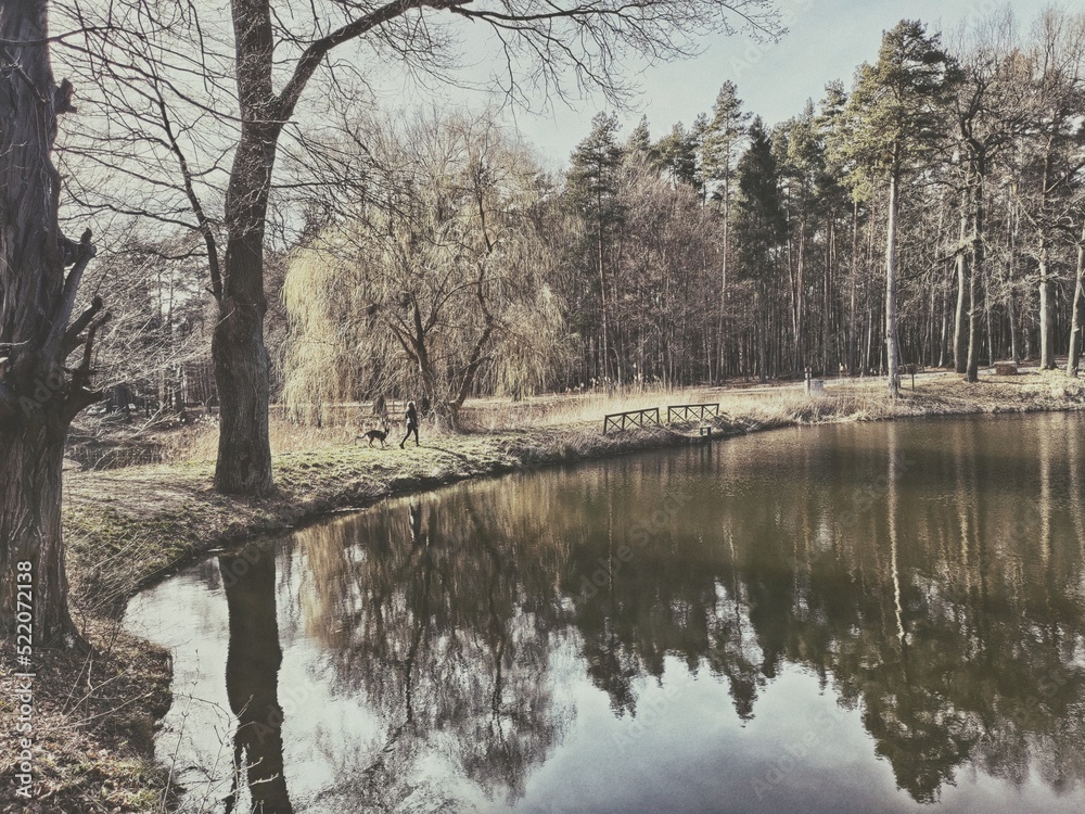 Obraz premium krajobraz nad jeziorem