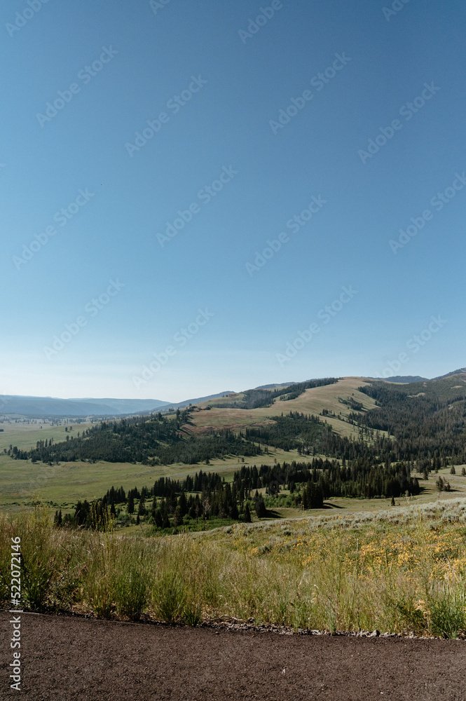 Grand Loop Scenery in Yellowstone National Park