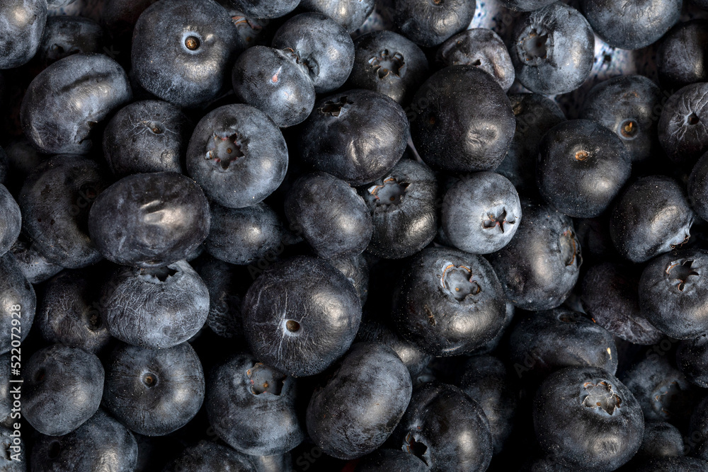 Macro close up of unwashed blueberries. Macro close up of unwashed blueberries.