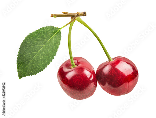 Cherry isolated on white background with clipping path