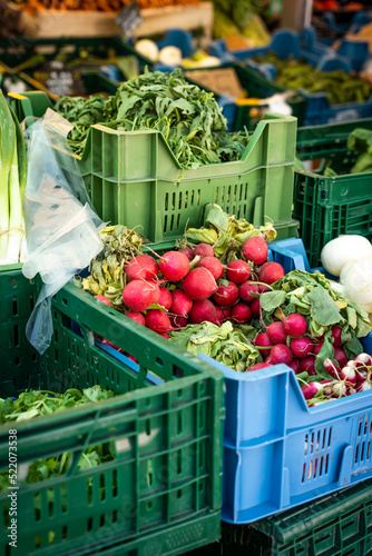 Fresh bio radishes at the market in Alsace, France