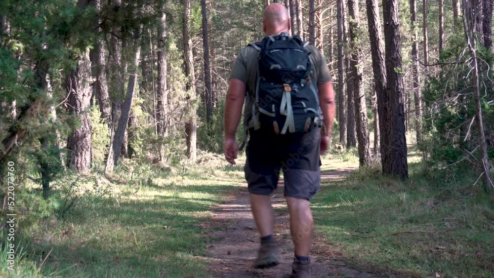Rear view of a man hiking in the nature Rear view of a man hiking in the nature