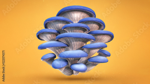 Canvas Print 3D render of oyster mushrooms blue fresh and stylized into an isolated cluster b