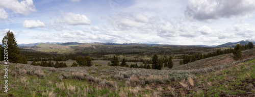 Trees and Mountain in the American Landscape. Yellowstone National Park, Wyoming. United States. Nature Background. Panorama