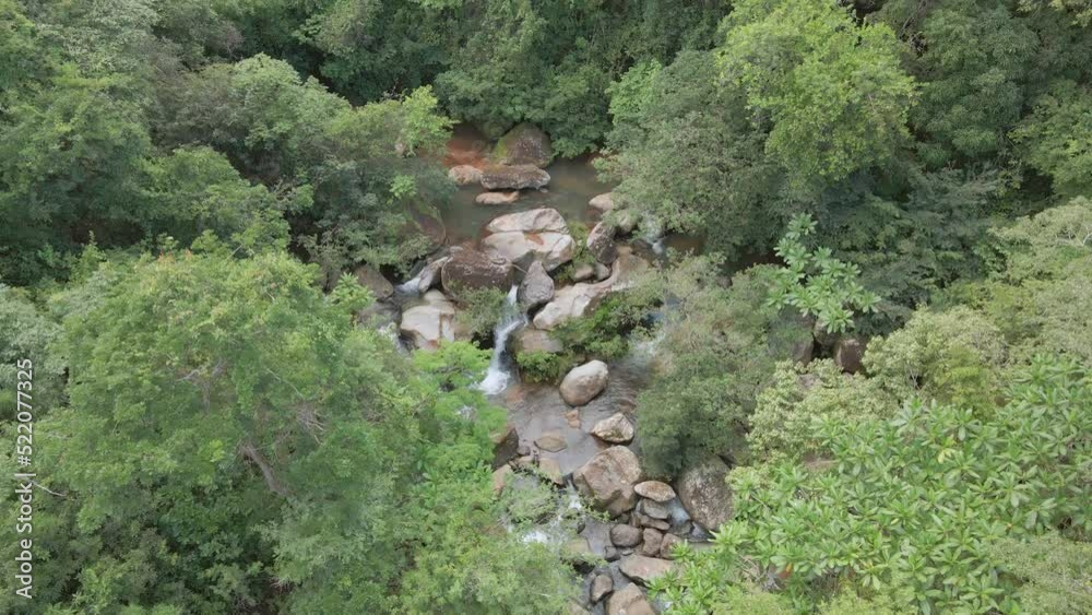 Recurso hídricos y flora montaña de Veraguas 