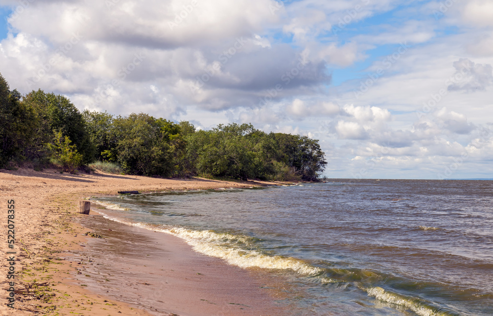 The sand beach in the nature reserve West Kotlin near Kronstadt, St. Petersburg The sand beach in the nature reserve West Kotlin near Kronstadt, St. Petersburg