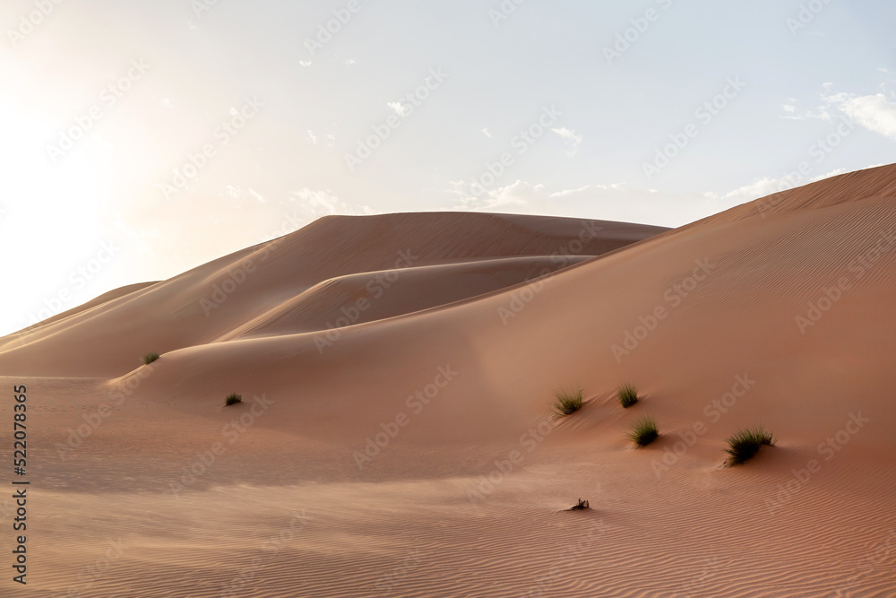 Natural sand dunes landscape in the desert in Abu Dhabi in UAE