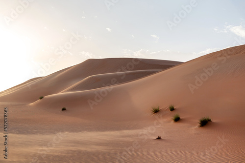 Natural sand dunes landscape in the desert in Abu Dhabi in UAE