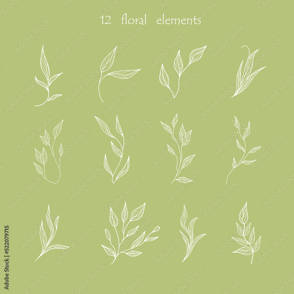Set of floral elements. Outline leaves for your designs and logos. Vector illustration. Set of floral elements. Outline leaves for your designs and logos. Vector illustration.