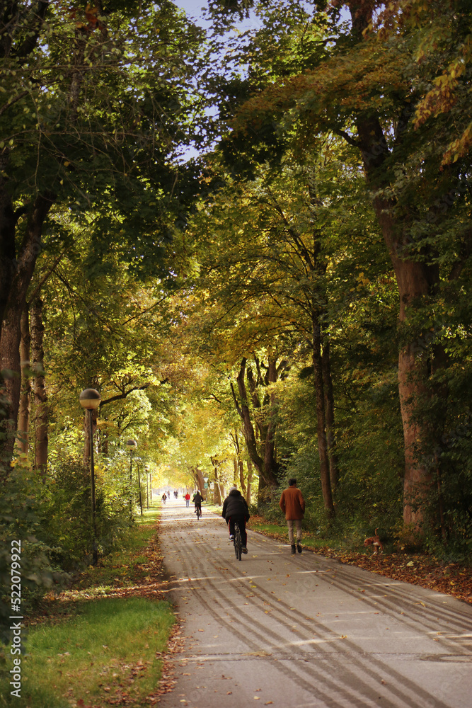 Riders and joggers enjoy the beautiful weather along a path with autumnal colors