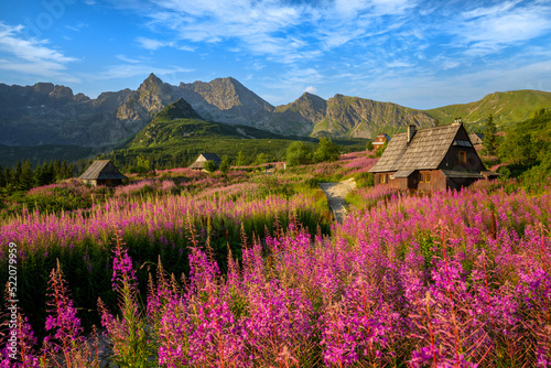Fototapeta Naklejka Na Ścianę i Meble -  Beautiful summer morning in the mountains - Hala Gasienicowa in Poland - Tatras