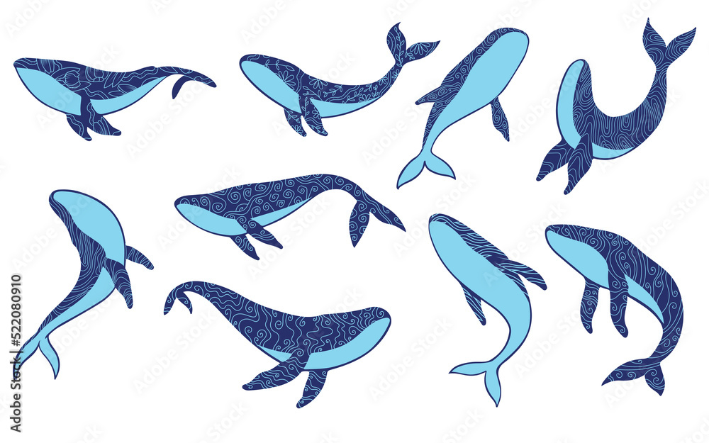 Collection of blue silhouette of a whales with an abstract decorative ornament. Vector illustration isolated on white background Collection of blue silhouette of a whales with an abstract decorative ornament. Vector illustration isolated on white background