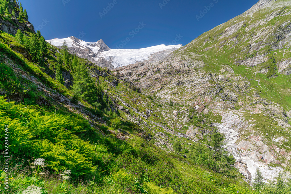 Grossvenediger (Großvenediger), Hohe Tauern National Park, Alps, Tyrol, Austria