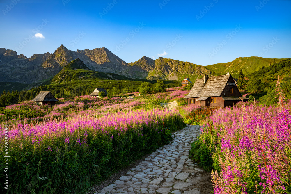 Beautiful summer sunrise in the mountains - Hala Gasienicowa valley in Poland - Tatras - obrazy, fototapety, plakaty 