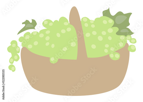 Basket with ripe green grapes. Picture for decor  posters  stickers  logo. Vector illustration.