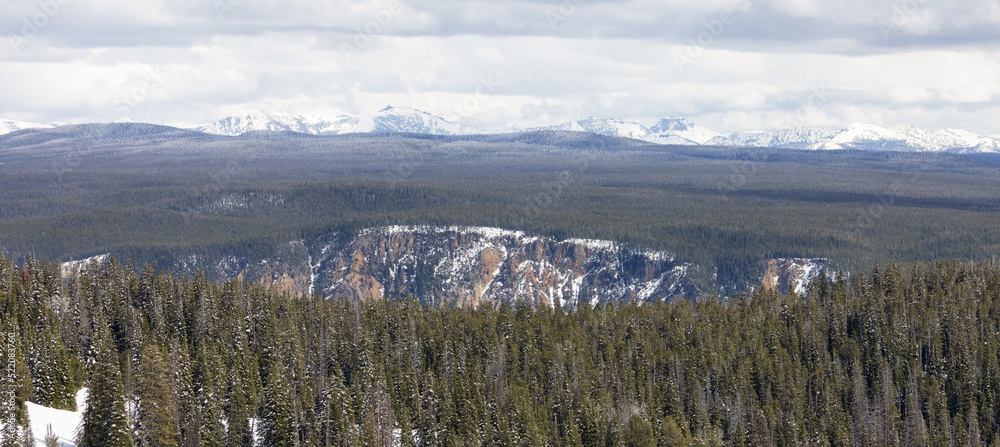 Green field, river and Mountain in the American Landscape. Yellowstone National Park, Wyoming. United States. Nature Background.