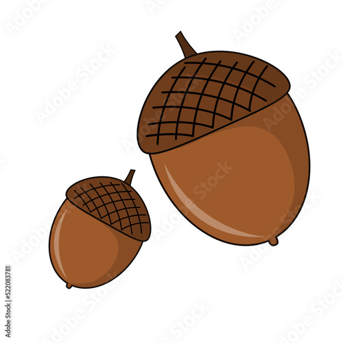 Autumn oak acorn isolated on white background cartoon vector illustration