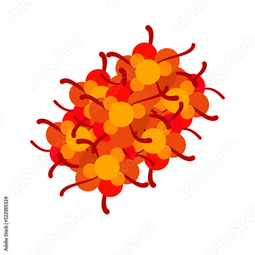 The monkeypox virus illustration on isolation background.