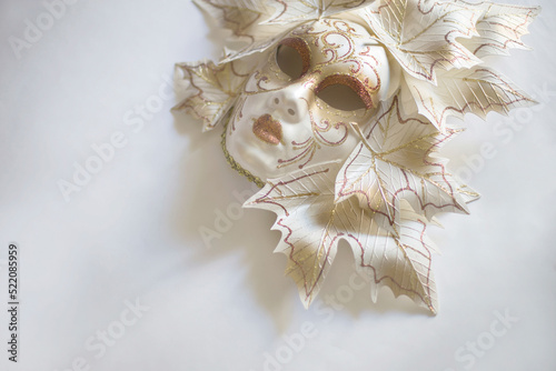 Venetian carnival mask © BGStock72