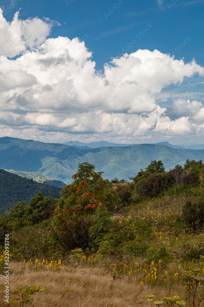 Black Balsam and Graveyard Fields in Pisgah National Forest on the Blue Ridge Parkway Black Balsam and Graveyard Fields in Pisgah National Forest on the Blue Ridge Parkway