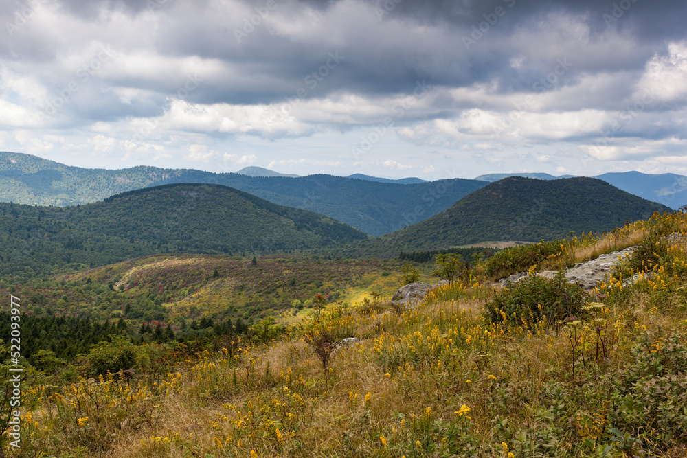 Fototapeta premium Black Balsam and Graveyard Fields in Pisgah National Forest on the Blue Ridge Parkway