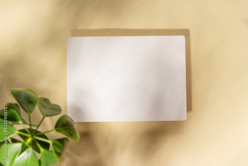 Mockup with blank horizontal sheets of paper with copy space. Hard sunlight and shadows on a white background with palm leaves. Template for business layout. Top view, flat lay Mockup with blank horizontal sheets of paper with copy space. Hard sunlight and shadows on a white background with palm leaves. Template for business layout. Top view, flat lay