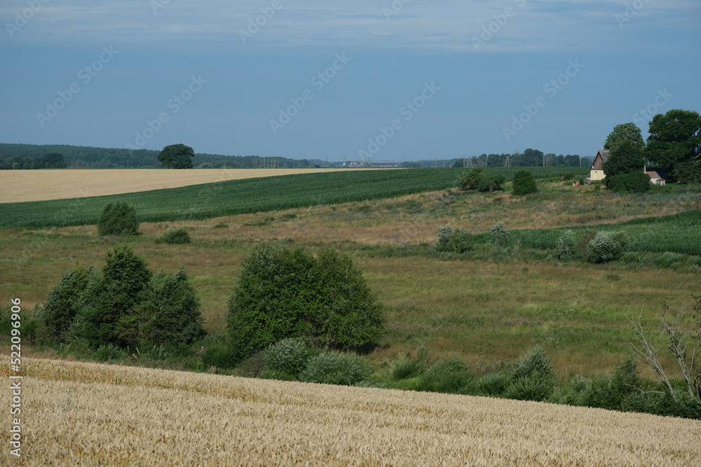 wheat field, valley with bushes and trees, country house in distance