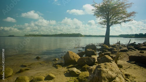 Beautiful Sam Rayburn Lake at low lake levels revealing a rocky shore and a lone cypress tree. photo