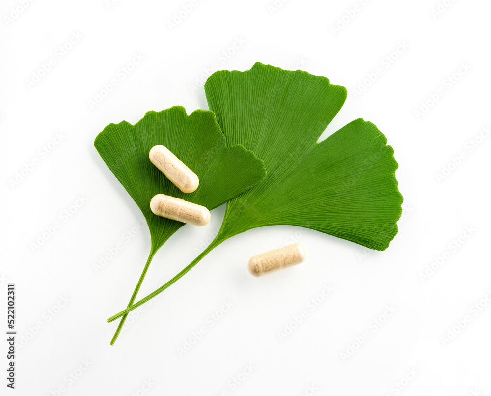 Two Ginkgo green leaves with pills for brain, memory protect therapy
