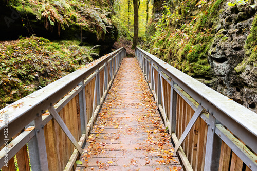 footbridge in a valley in Little Switzerland, Luxembourg photo