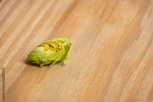 Wet hops cross section, yellow lupulin pods inside on a wooden board.