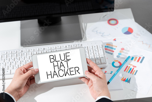 Tablou canvas Text sign showing Blue Hat Hacker