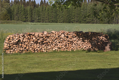 Stacked firewood logs