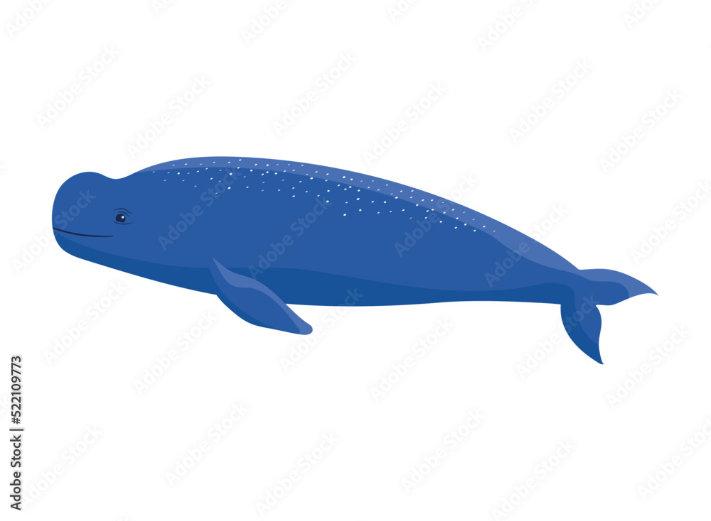 Obraz premium beluga whale design