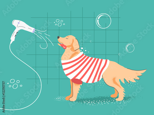 Happy dog ​​drying with hair dryer, grooming spa procedure for pets. Vector sample post, web, media.