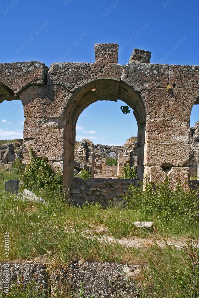 ruins of an ancient afrodisias