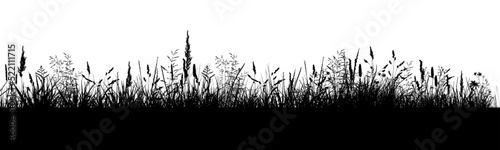 Black grass silhouette. Vector illustration