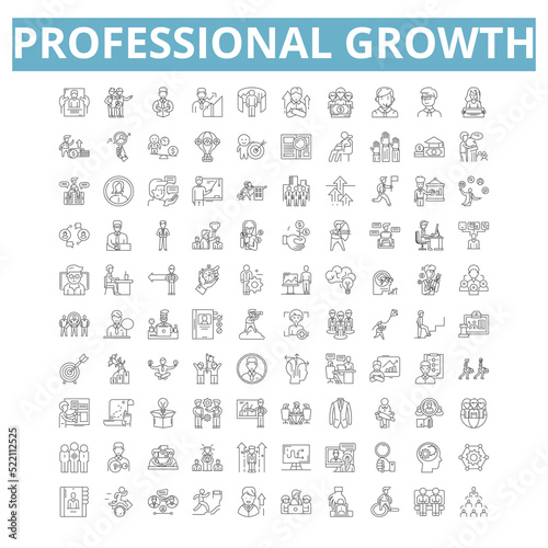 Professional growth icons, line symbols, web signs, vector set, isolated illustration