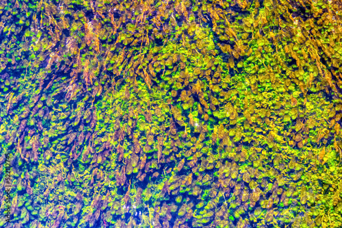 Fresh water of river Pliva in Sipovo, Bosnia and Herzegovina.