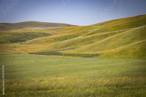 rolling hills of kyrgzystan  central asia  lush  green