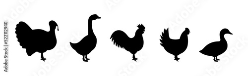 Set of farm birds silhouettes. Turkey, Chicken, Rooster, Duck, Goose black silhouettes. Farm animals character icons set isolated on white background.