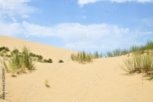 Sand dunes of the Sarykum dune. A natural monument. Dagestan. Russia