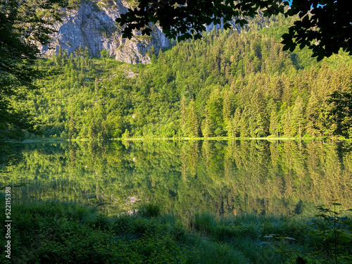Fototapeta Naklejka Na Ścianę i Meble -  nature reserve at lake Frillensee in the Chiemgauer alps, Bavaria