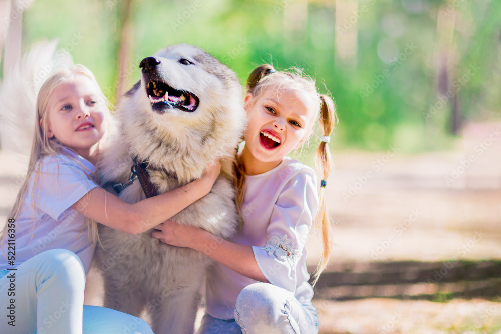 2 happy girls hugging a dog in the summer forest 2 happy girls hugging a dog in the summer forest