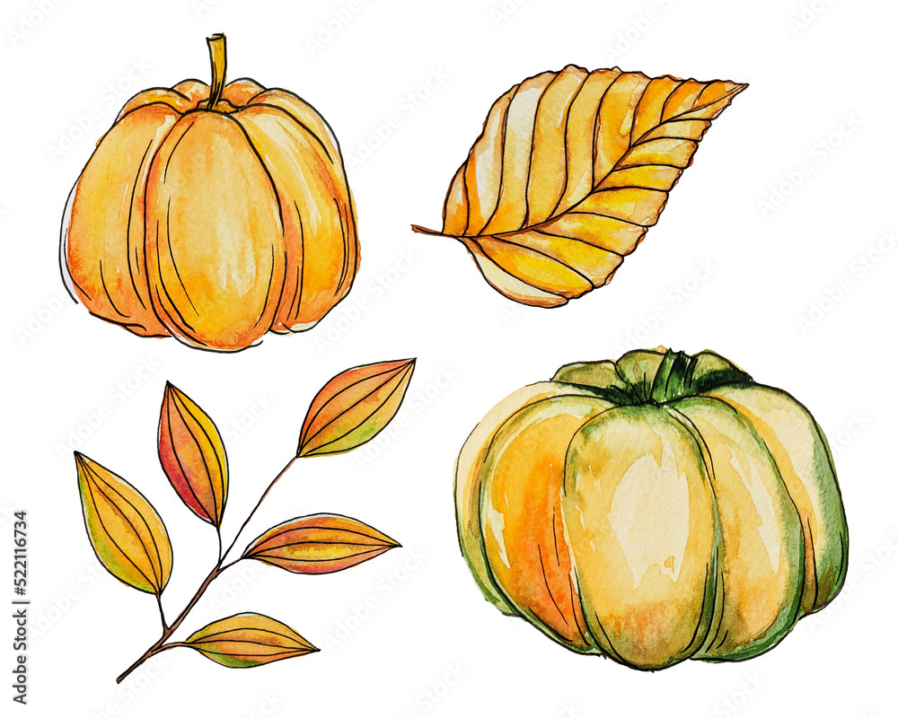 Painted watercolor pumpkin. Autumn leaf. Watercolor and outline. October. Harvest. Watercolor sketch of a pumpkin. Leaf outline. Orange and yellow. Set of pumpkins. Halloween. Thanksgiving Day.