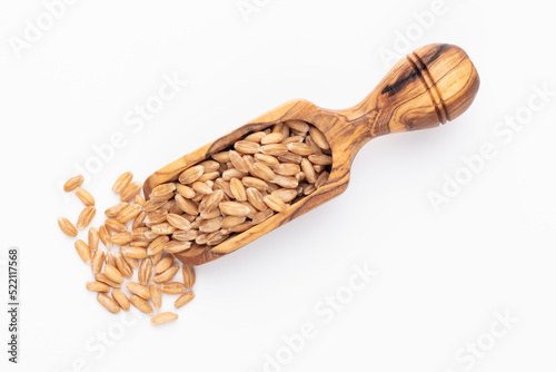 Scoop with wheat grains and spikelets on white background.