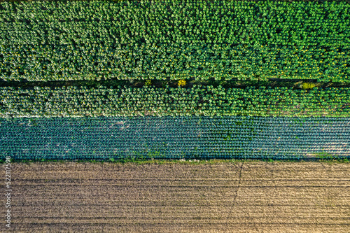 Kolorowe pola uprawne widziane z góry, rolniczy krajobraz polskiej wsi. 